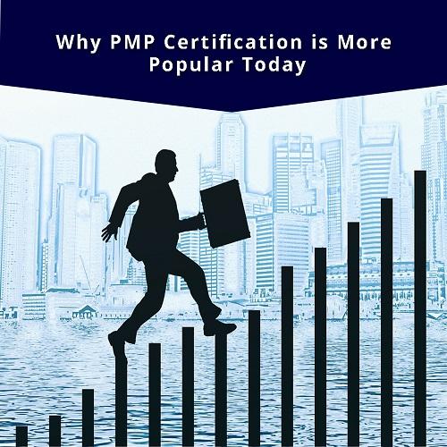 Why PMP Certification is More Popular Today?
