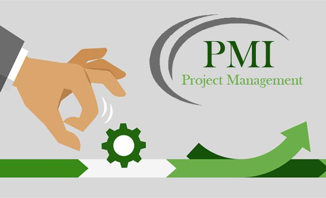 (PMI) Project Management Instituteâ€™s Earning Power Report.