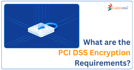 What are the PCI DSS Encryption Requirements? 