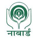 Development Assistant